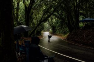 A downhill rider tucked along a humid southern road lined with moss-draped oaks